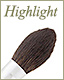 Highlight Brush方