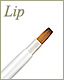 Lip Brush