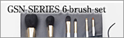 S-GSN-6:GSN SERIES 6-Brush Set