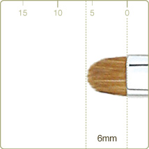 RE-(6)-1 / BL-(6)-1：ドーム型シャドーライナーブラシ毛丈