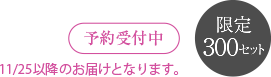 300セット限定発売