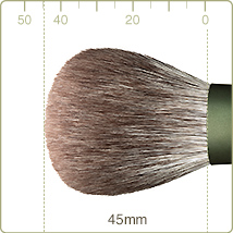 FO-1:Powder brush