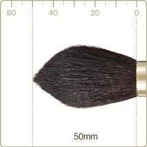 G-16 : Highlight/Cheek brush