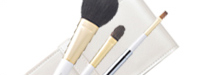 G SERIES 3-brush set