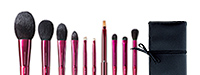 PASSION SERIES 10-brush set