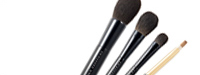 Z SERIES 4-brush set