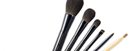 Z SERIES 6-brush set