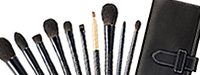 Z SERIES 10-brush set