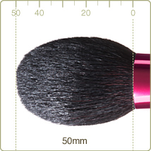 PS-1 : Powder brush