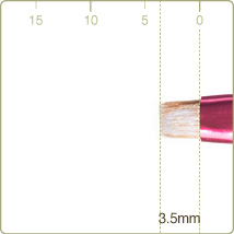 PS-6 : Edge brush