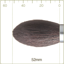 R-C1/RR-C1 : Cheek brush