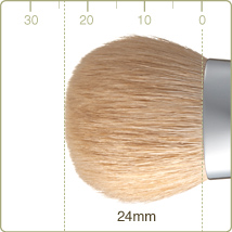 R-LQ1/RR-LQ1 : Liquid brush