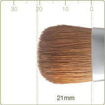 R-LQ2/RR-LQ2 : Liquid brush