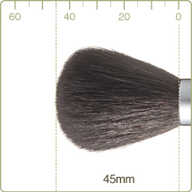 R-P3/RR-P3 : Powder brush