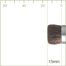 R-P5/RR-P5 : Foundation brush