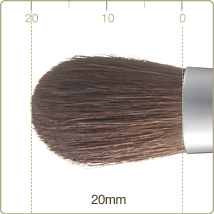 R-S1/RR-S1 : Eye shadow brush