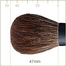 REN-2:Cheek brush