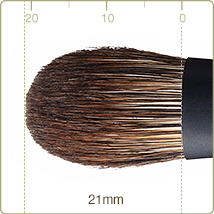 REN-4:Eye shadow brush