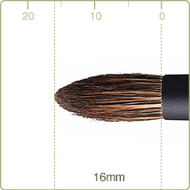 REN-5:Eye shadow brush