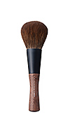 Powder brush:REN-1