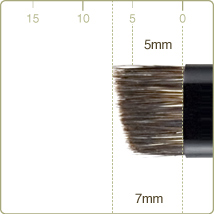 Z-6：Eyebrow brush